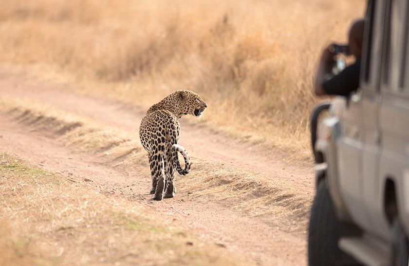 Serengeti National Park