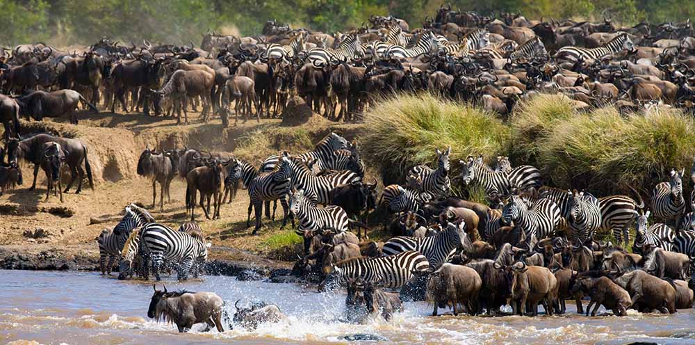Northern Serengeti