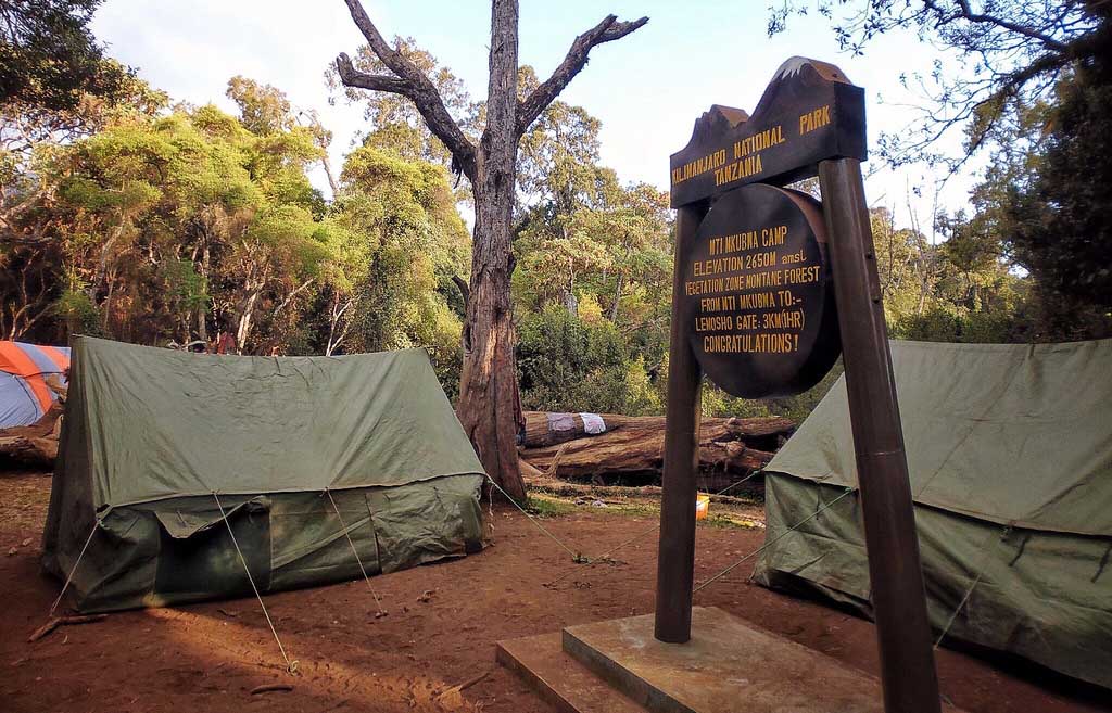 Mti Mkubwa Camp