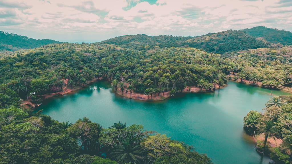 Magoroto forest