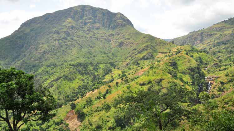 Usambara Mountains