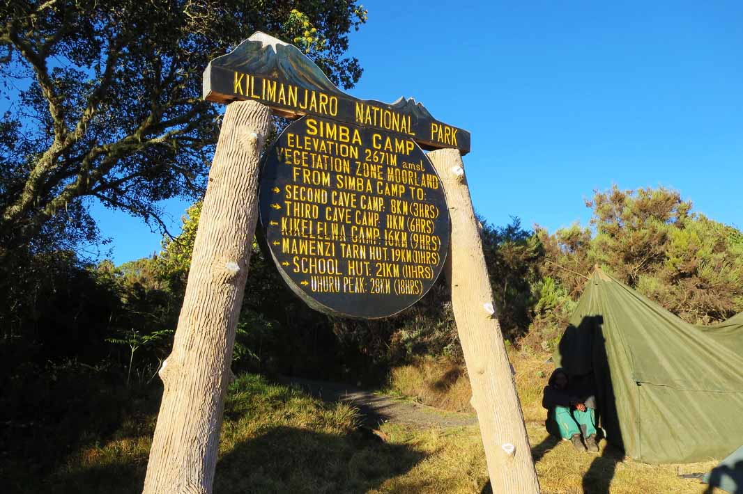 Simba Camp