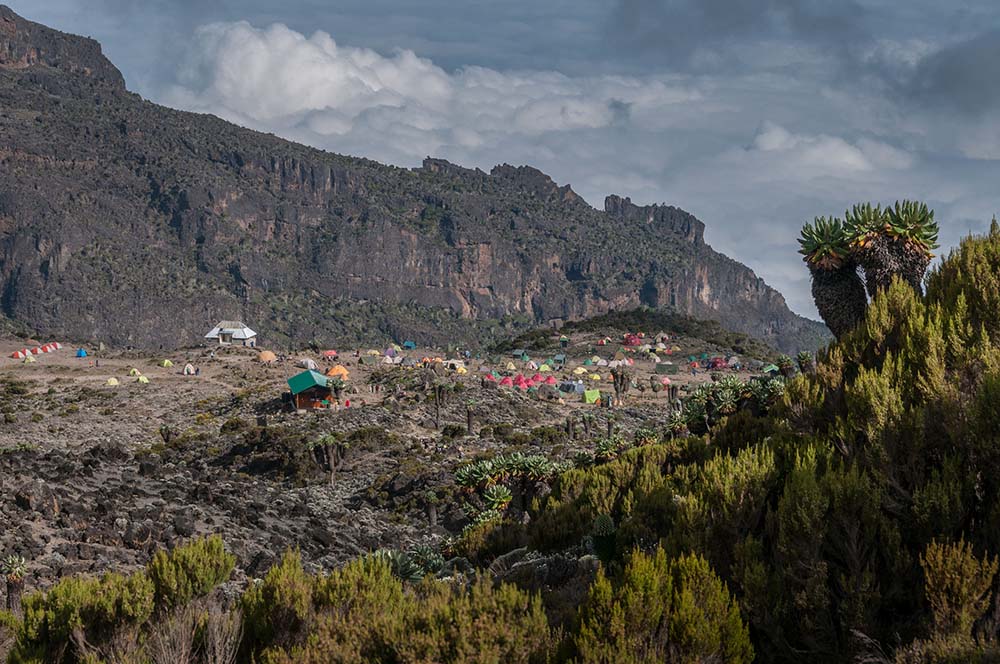 Moir Hut