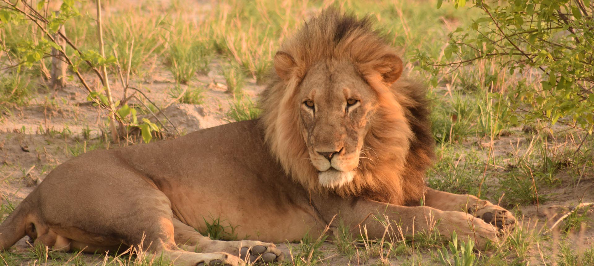 Central Serengeti
