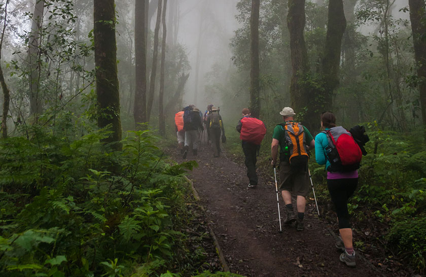 Machame Camp