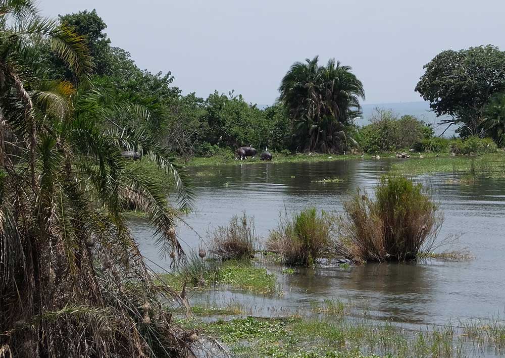 Rubondo Island National Park