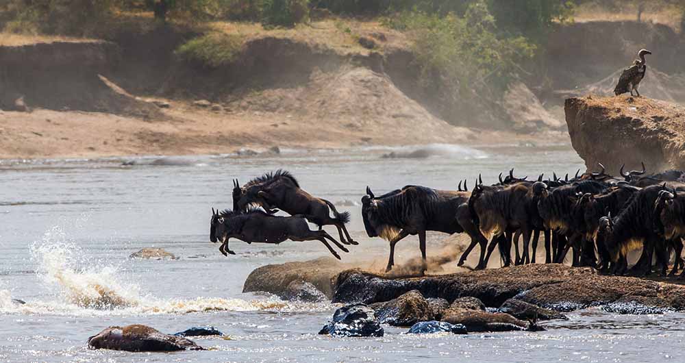 Northern Serengeti
