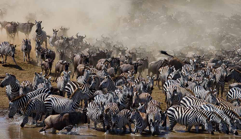 Northern Serengeti