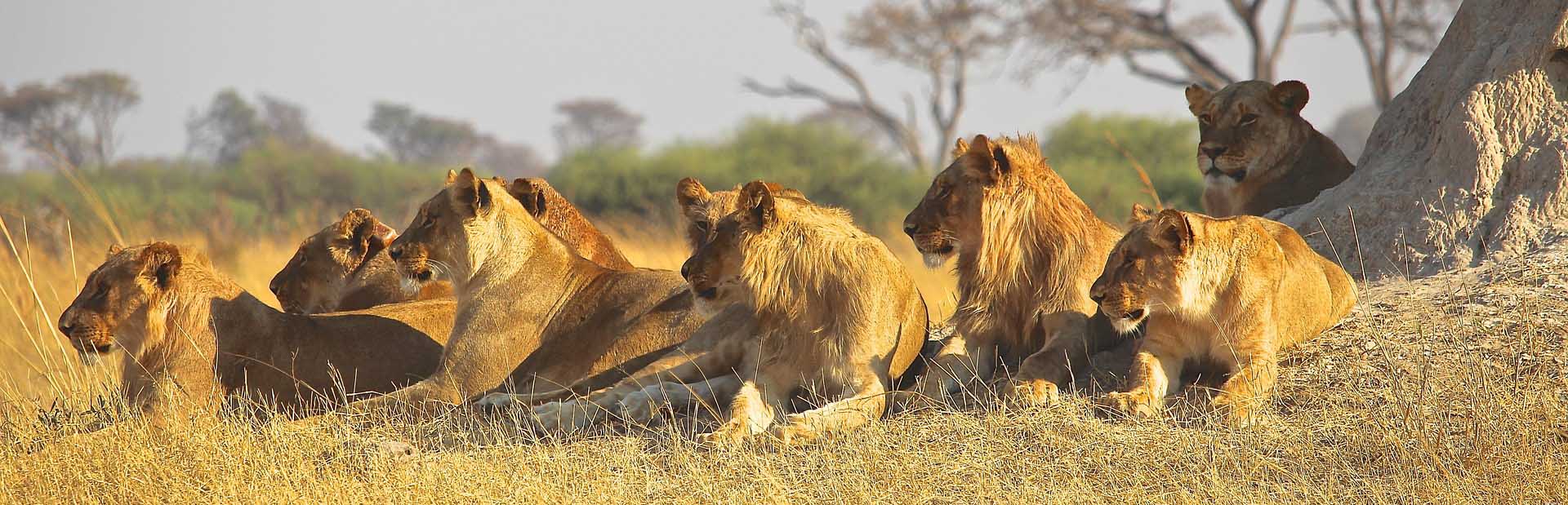 Serengeti National Park