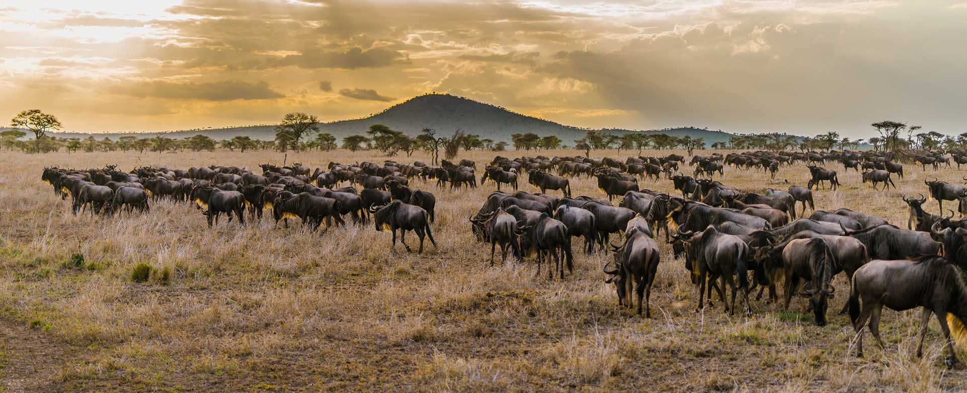 Serengeti National Park