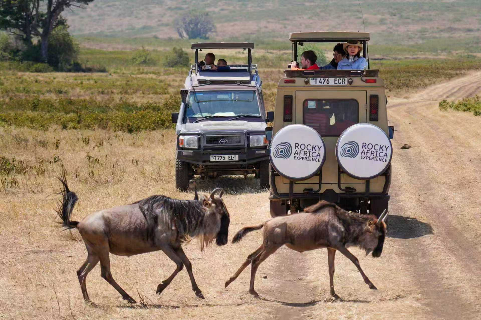 Serengeti National Park