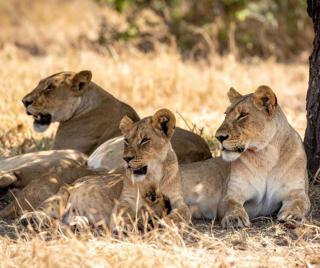 Serengeti National Park