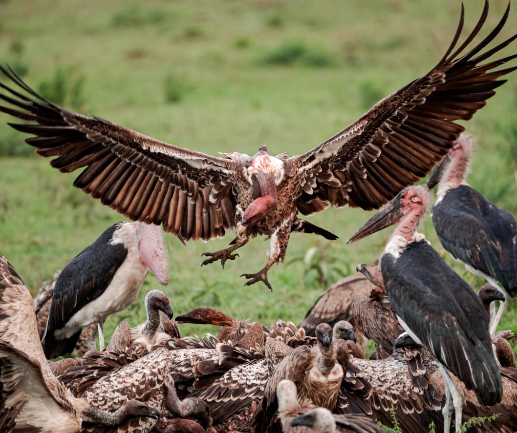 Serengeti National Park