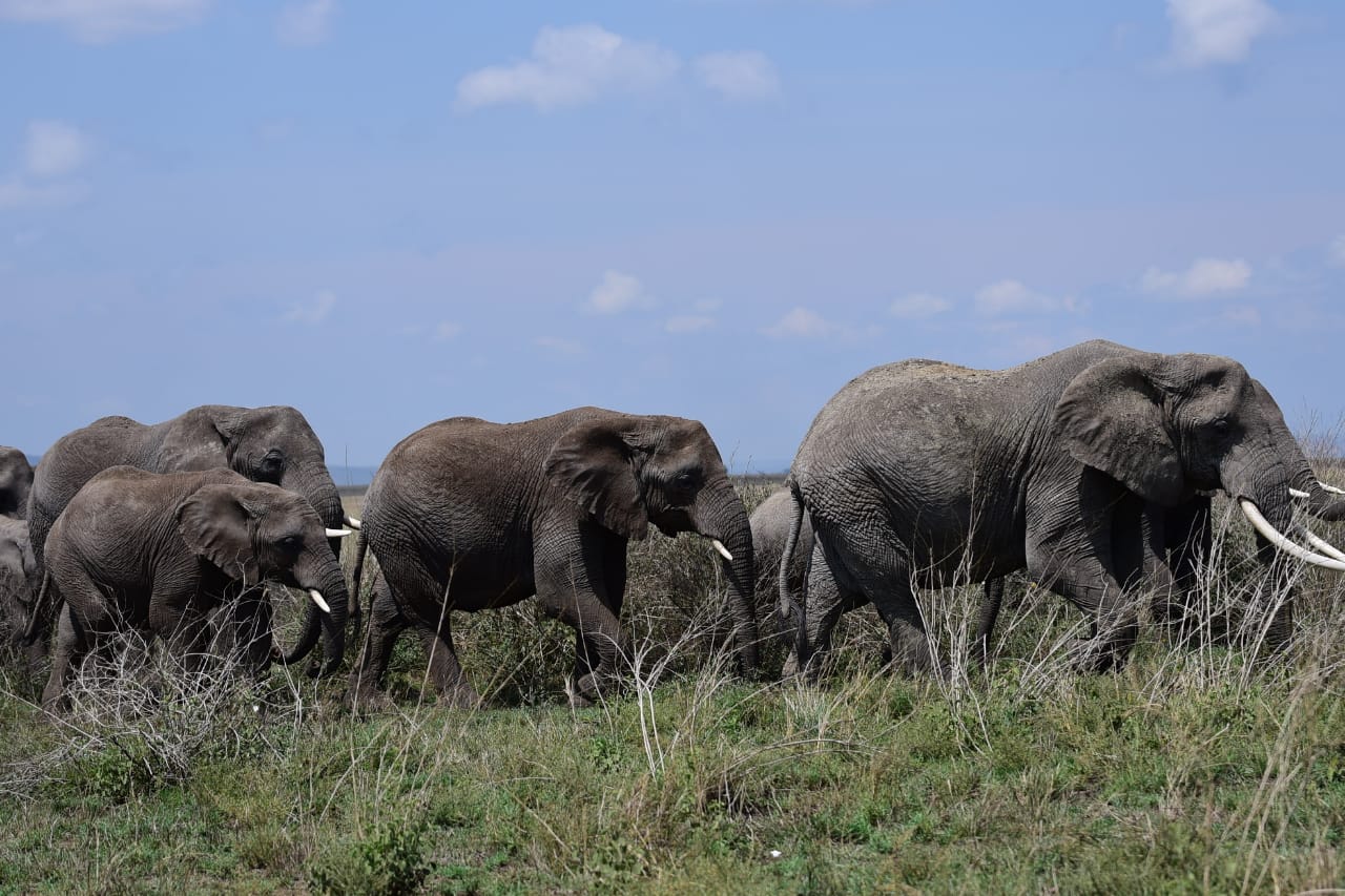 Tarangire National Park