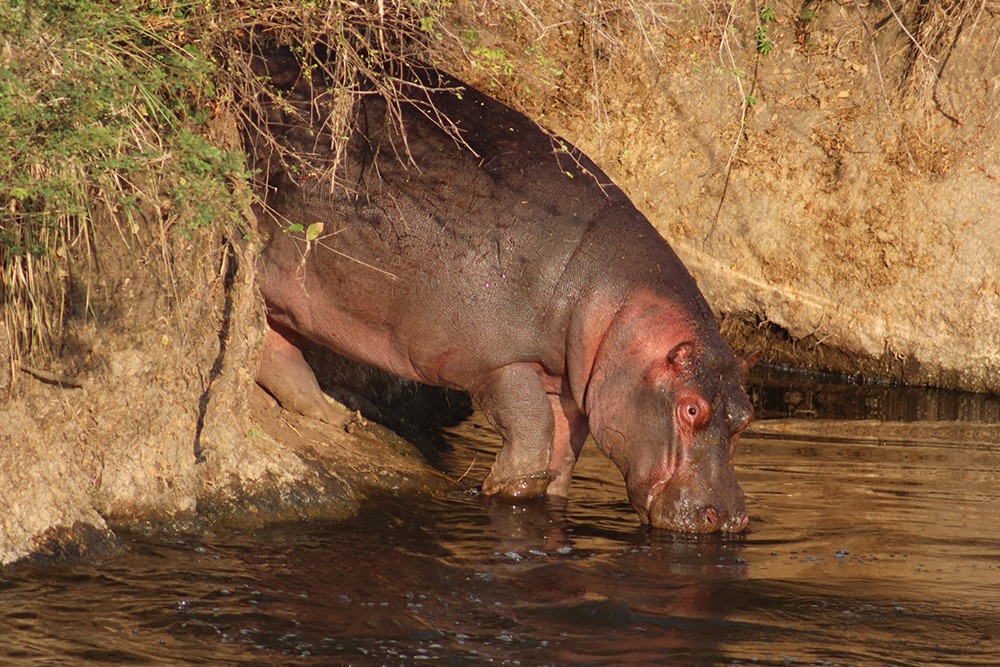Ngorongoro Conservation Area