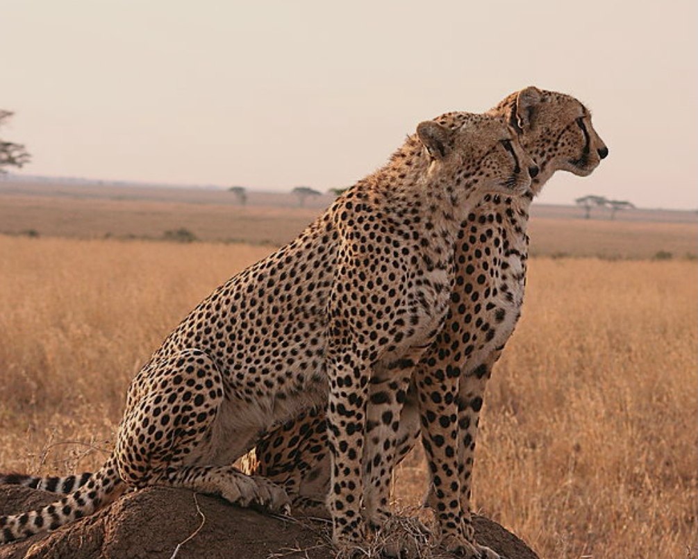 Serengeti National Park