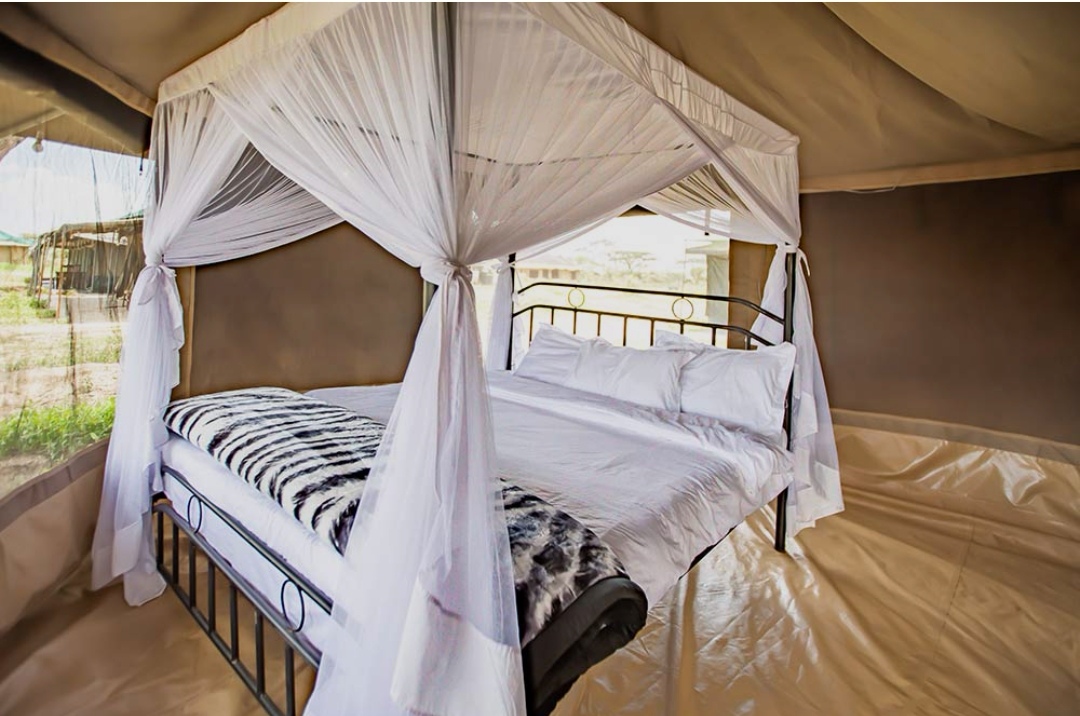 Shuhudia Adventure Camp