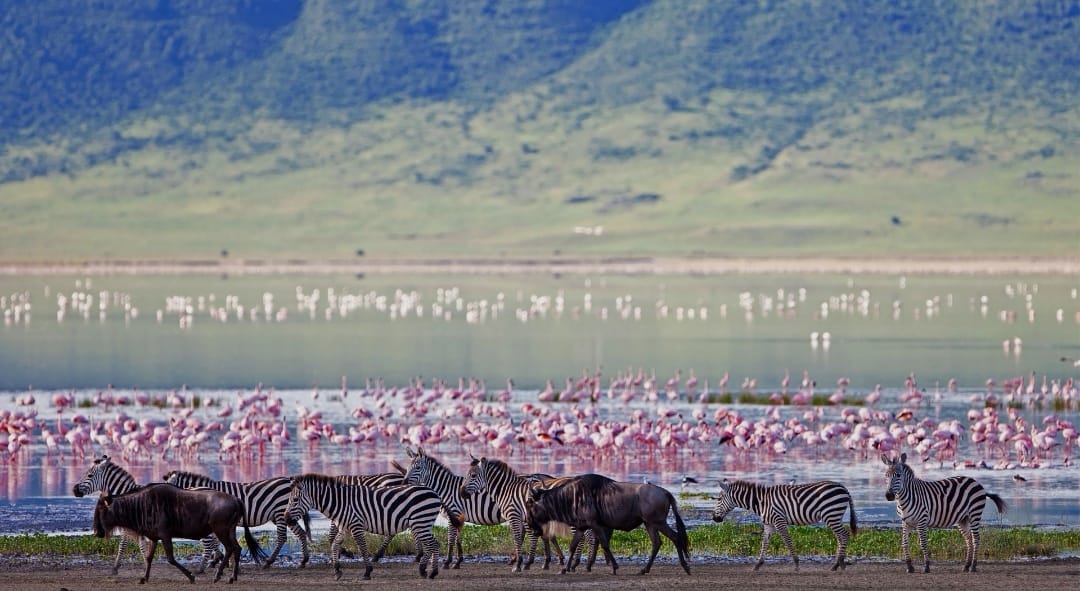 Ngorongoro Conservation Area