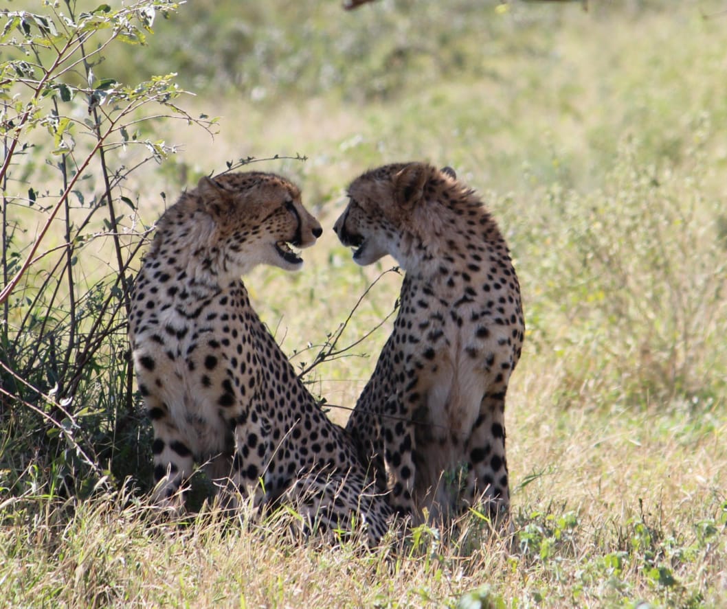 Serengeti National Park