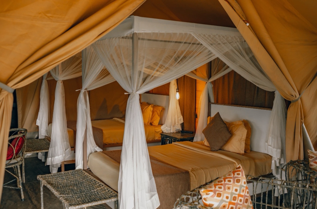 Serengeti Wildebeest Camp