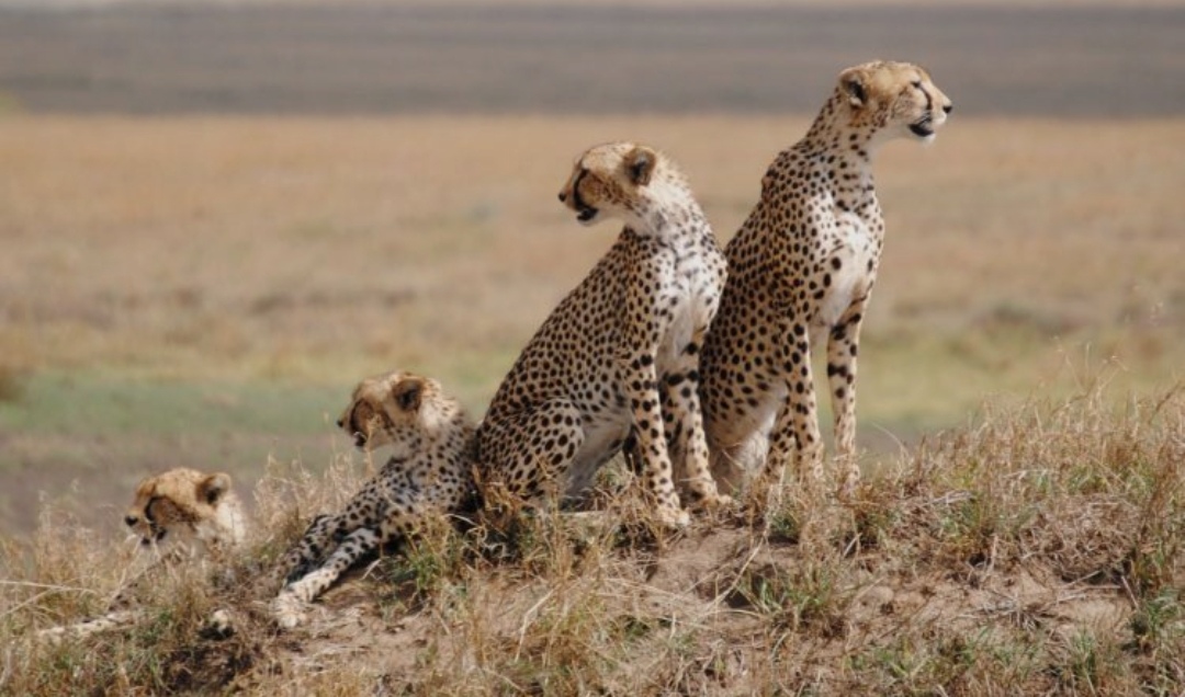 Serengeti National Park