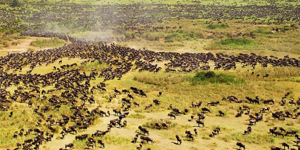 Serengeti National Park