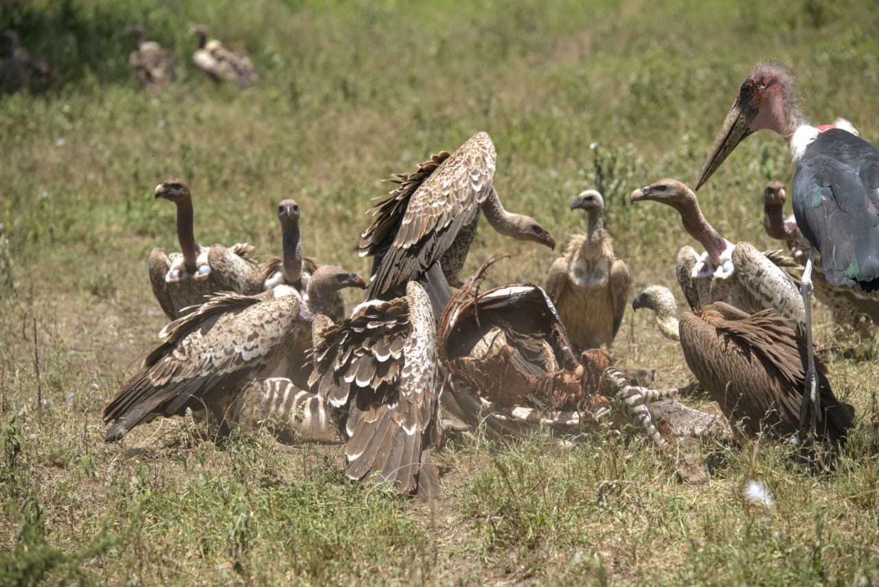 Serengeti National Park
