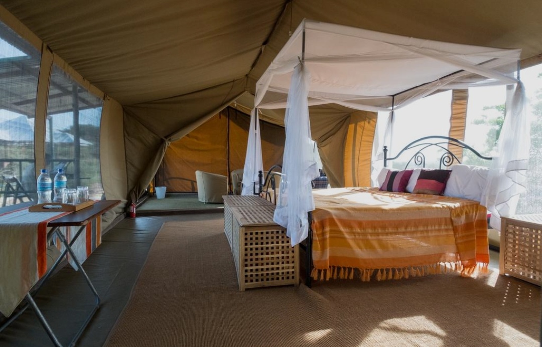 Serengeti Wildebeest Camp