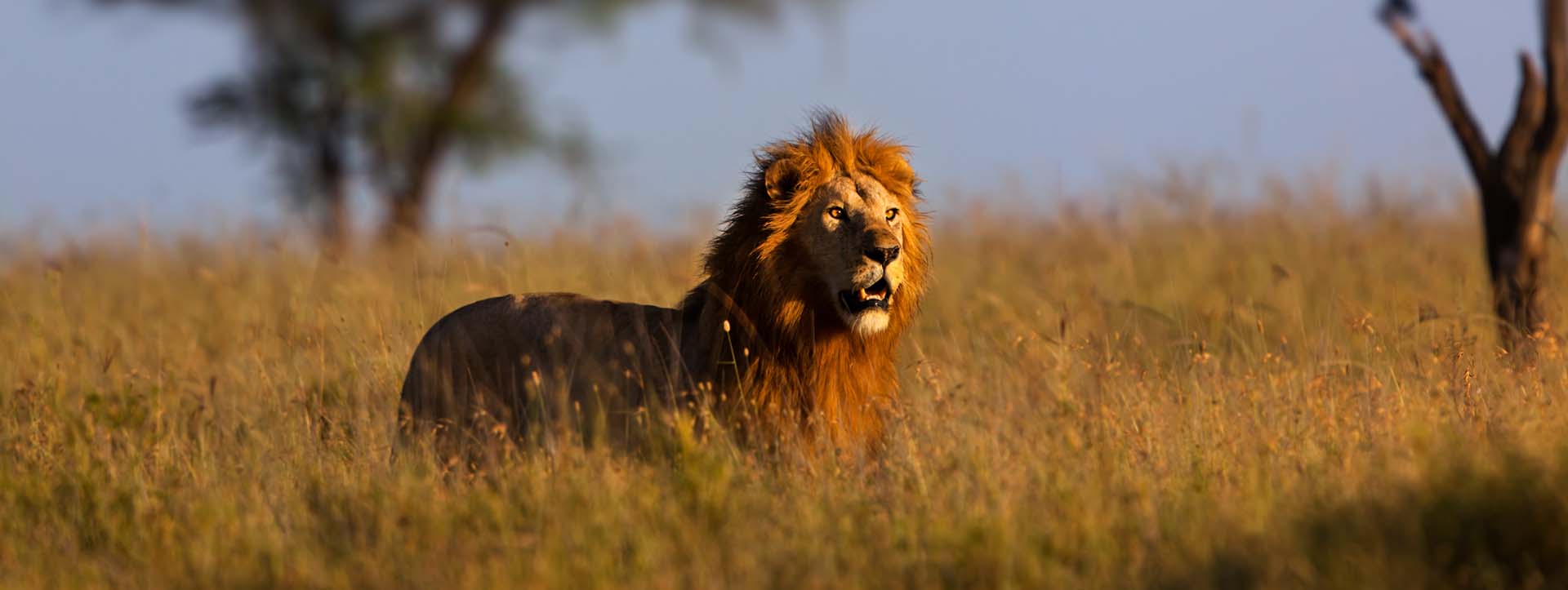 4 Days Tanzania safari