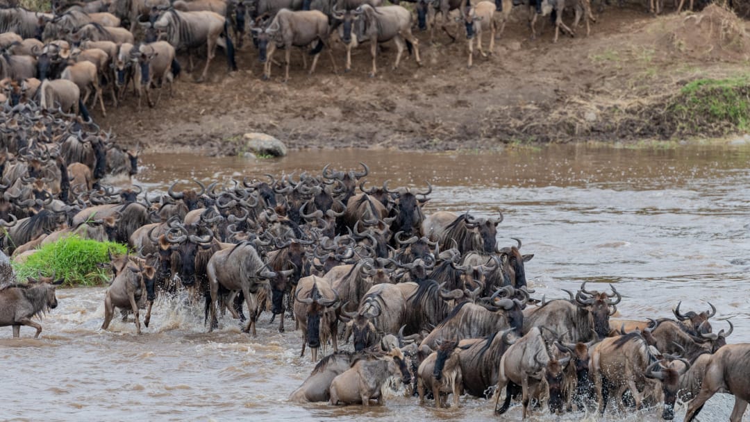 Serengeti National Park
