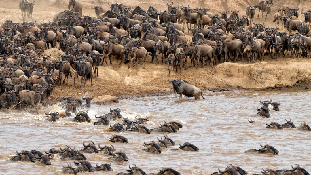 Serengeti National Park
