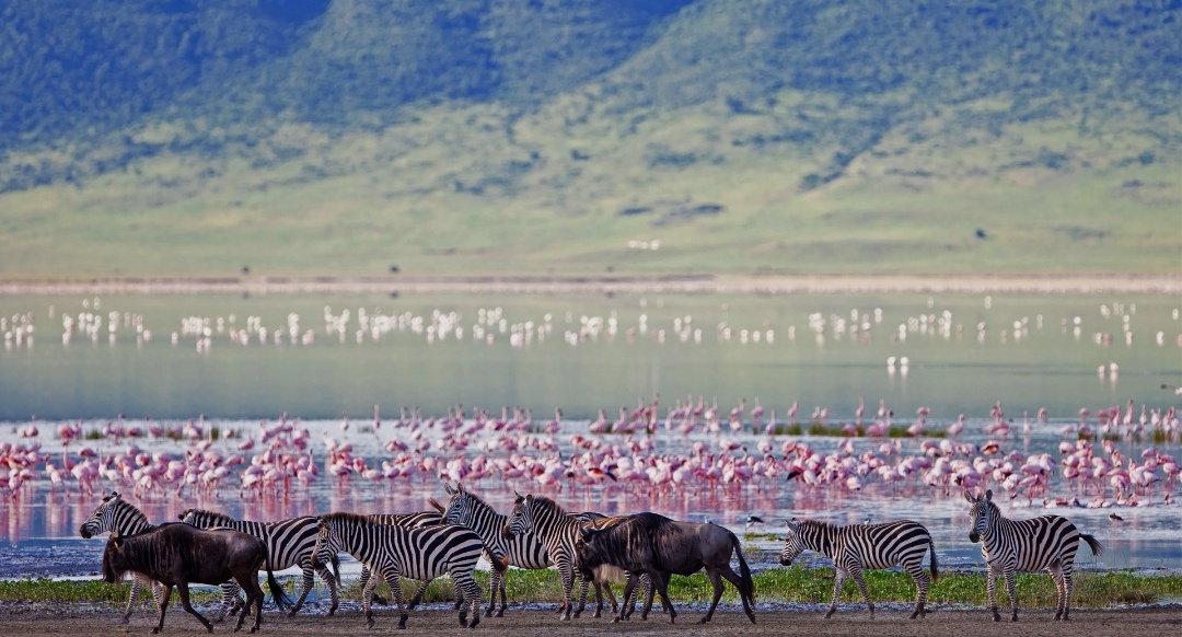 Ngorongoro Conservation Area