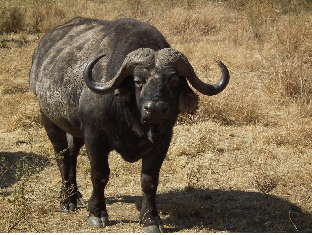 Serengeti National Park