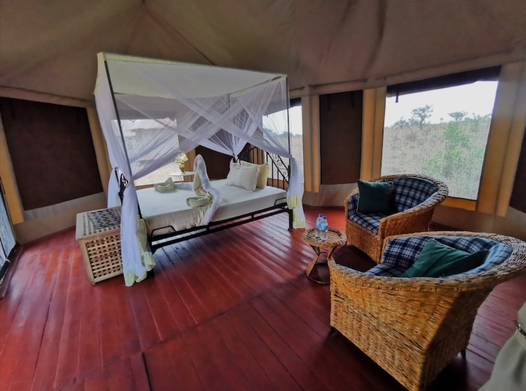Serengeti Wildebeest Camp