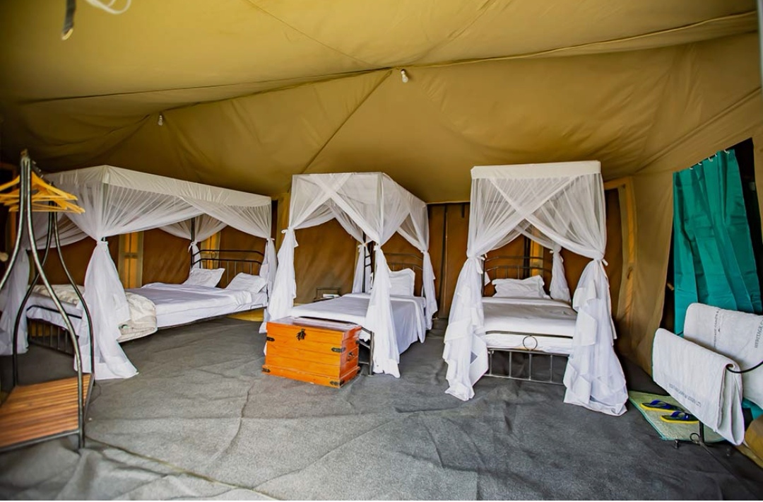 Ndutu Migration Camp