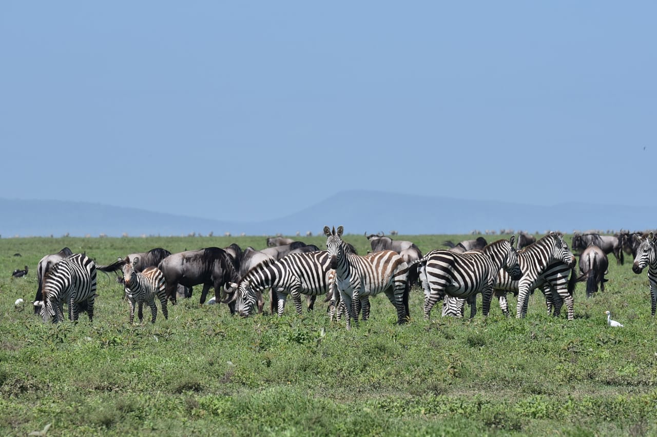 Serengeti National Park