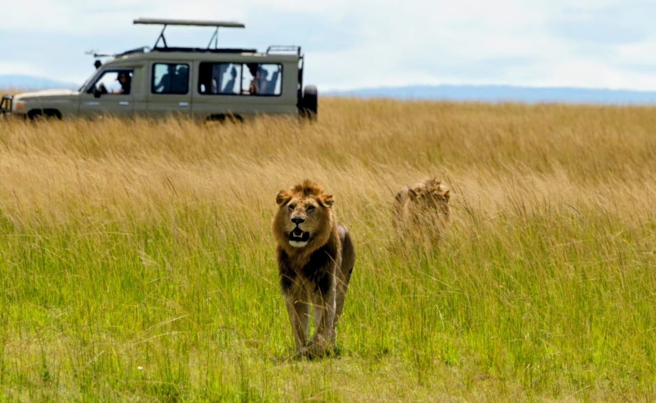Masai Mara National Reserve