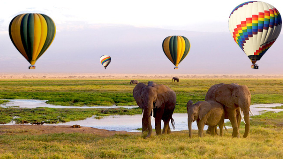 Serengeti National Park