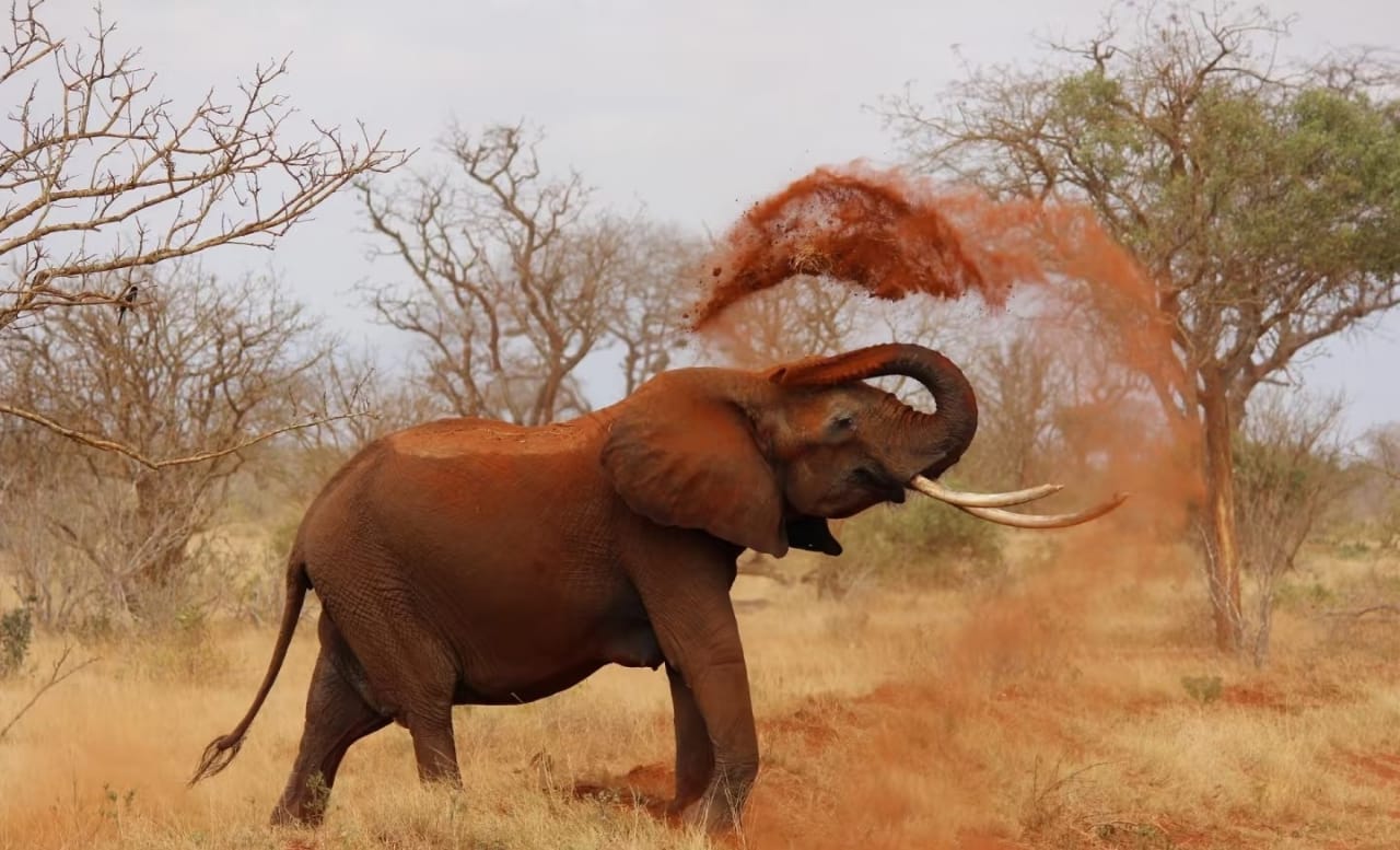 Tarangire National Park