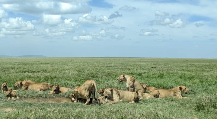 Tarangire National Park