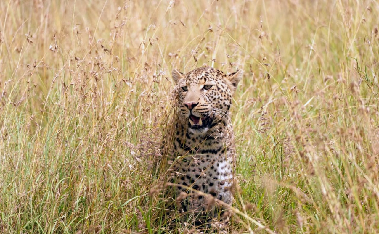 Serengeti National Park