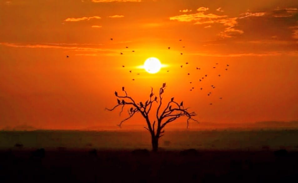 Ngorongoro Conservation Area