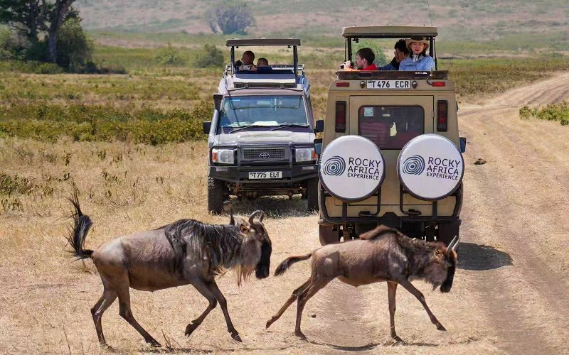 7 Day Tanzania Safari: Mid Range Tour