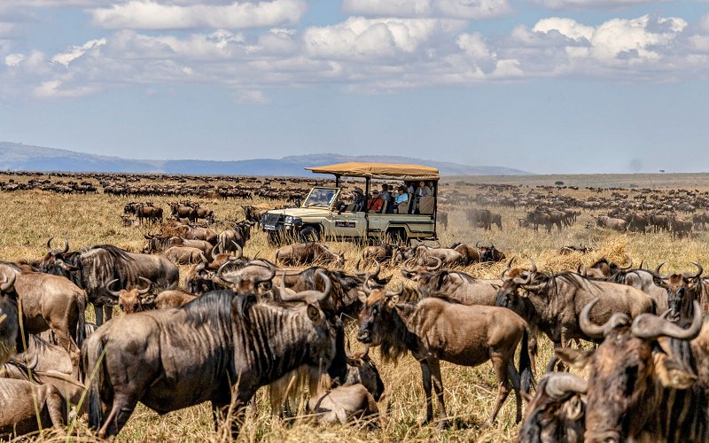 3 Days Fly To Masai Mara