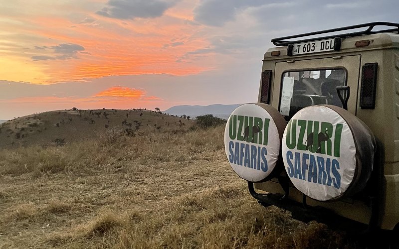8 Day Ultimate Migration Safari