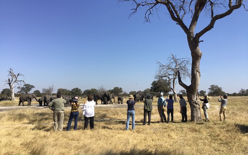 8 Day Safari In Zimbabwe Victoria Falls And Hwange National Park And Botswana Chobe National Park.