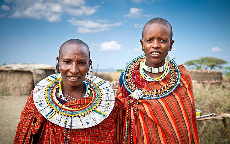 Lodge Tanzania Safari 4 Days Tarangire National Park/Serengeti National Park/Ngorongoro National Park