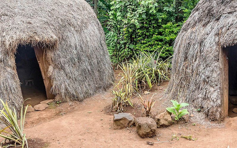 8 Day Tanzania Culture & Wildlife Safari