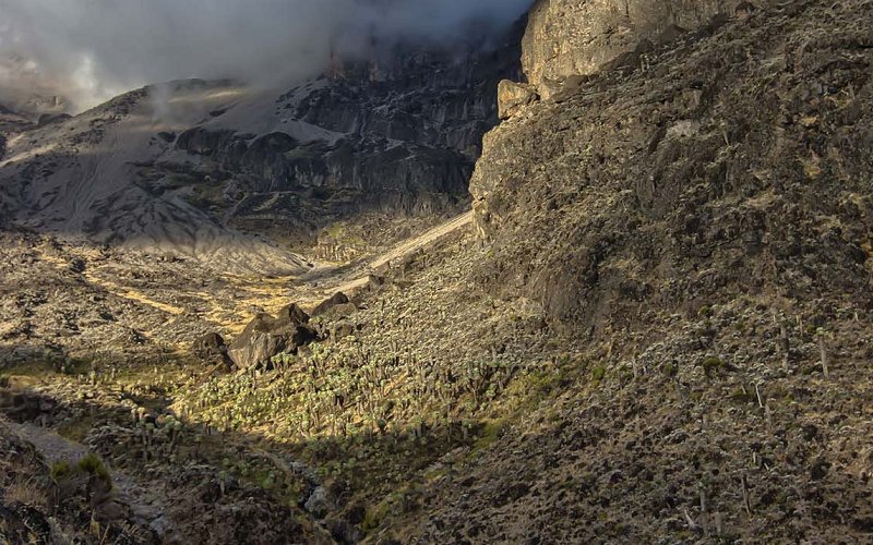 8 Day Lemosho Luxury Trek Mount Kilimanjaro