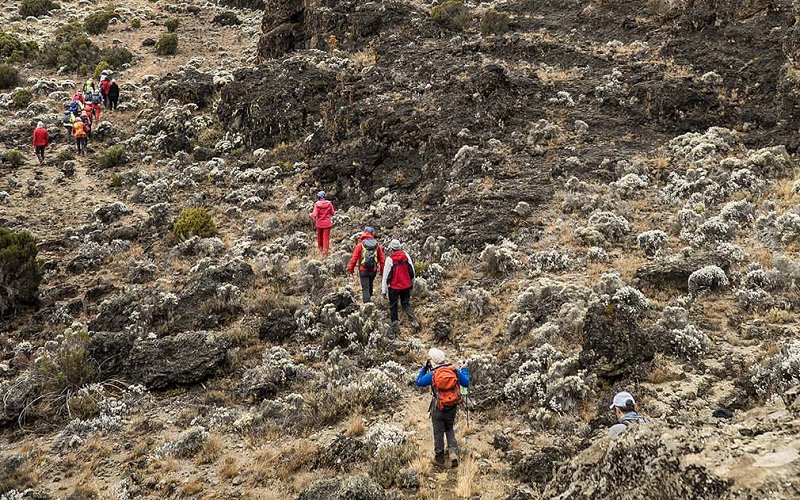 7 Day Kilimanjaro Lemosho Route